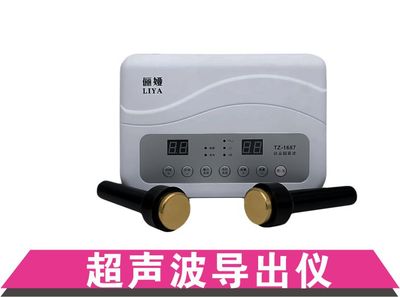超声波导出仪