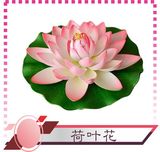荷叶花
