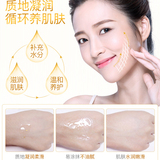 黄金烟酰胺